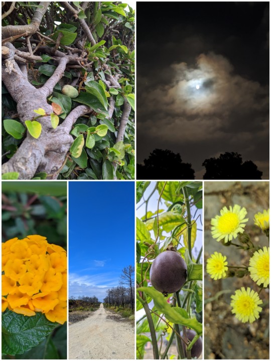 IMG_20201229_162252.jpg IMG_20201229_162252.jpg