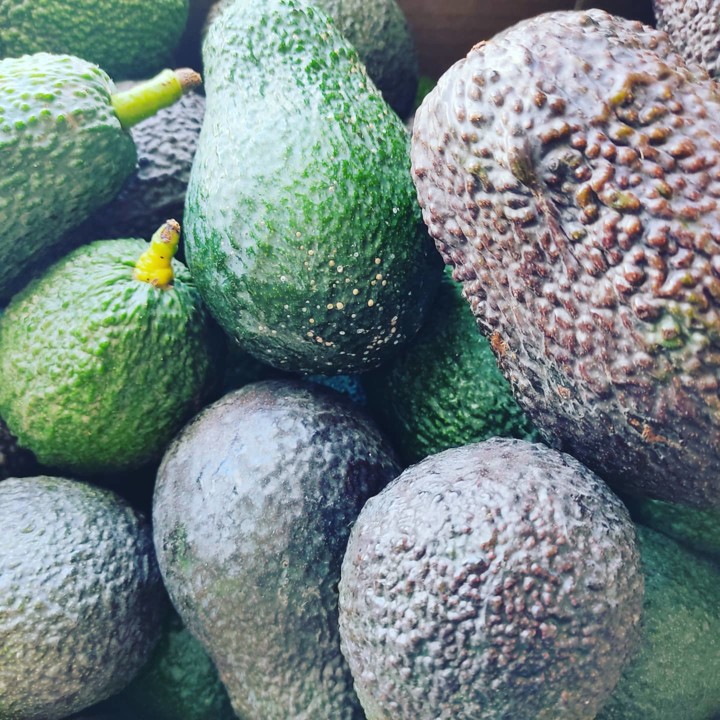 155835561_1966562510150167_3498236874603938217_o.j