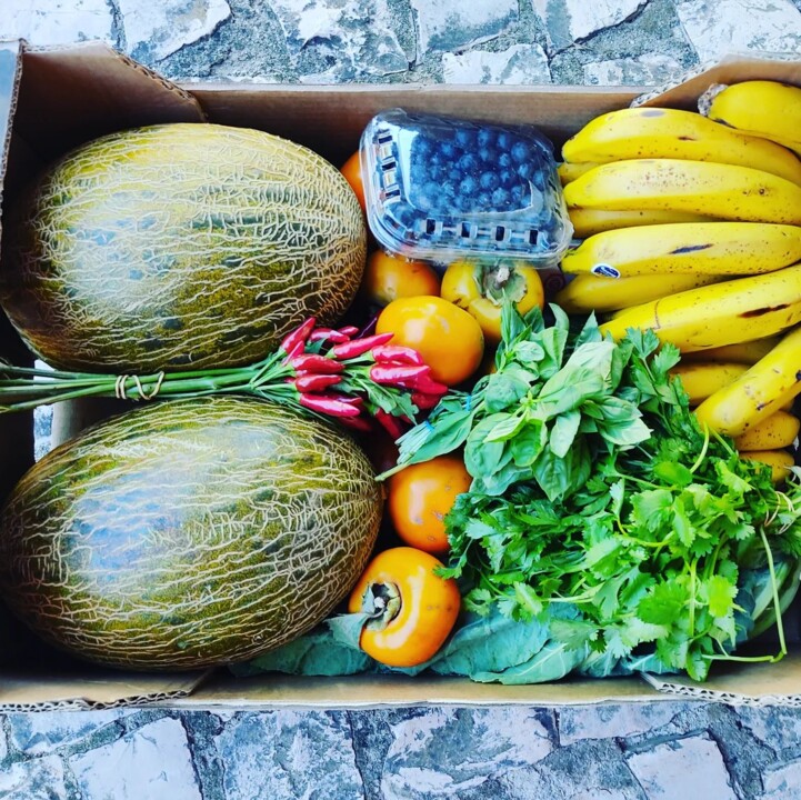 310394723_2426337557505991_2945534810576180312_n.j