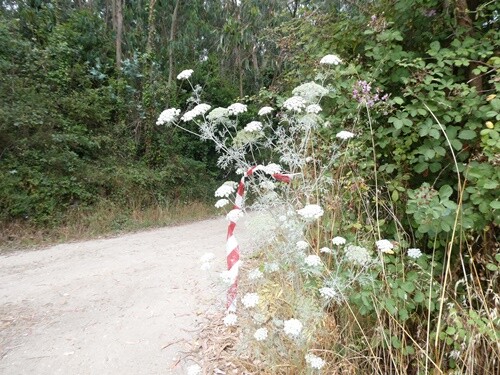 P1044586.JPG