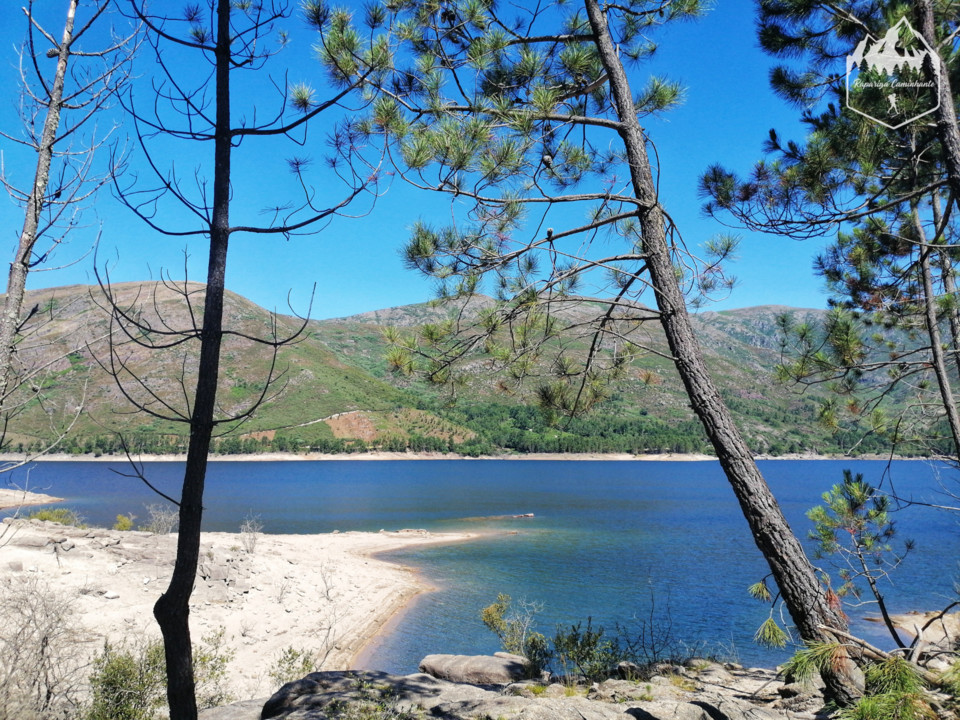 Photo_1598340699377.jpg Photo_1598340699377.jpg