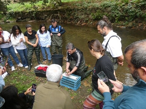 20a_Festival_dos_Rios_Lousada (110).JPG