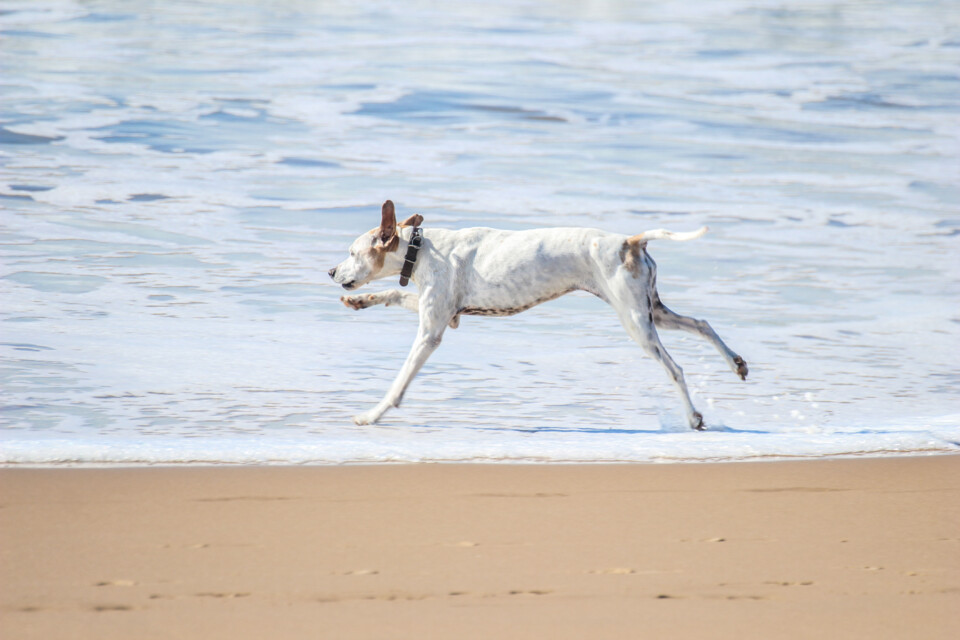 capitulo perfeito 25.jpg