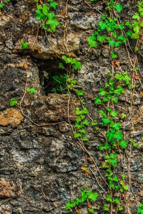 sanatorio albergaria 13.jpg