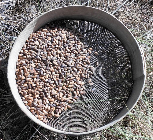 Foto 7.JPG Foto 7.JPG