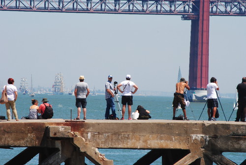 Mirones à caça de boas imagens