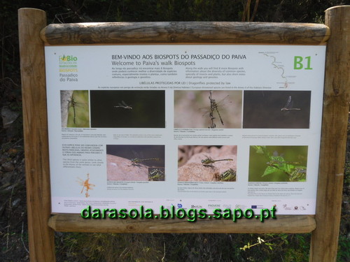 Passadicos_paiva_100.JPG Passadicos_paiva_100.JPG