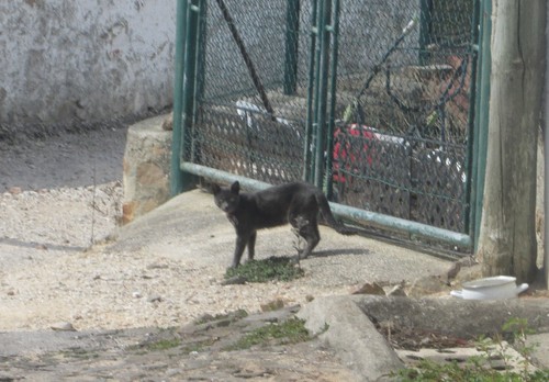 blog 0012.jpg blog 0012.jpg