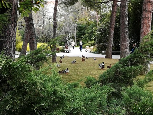 COPYRIGHT O RAPAZ DAS ILHAS COPYRIGHT O RAPAZ DAS ILHAS