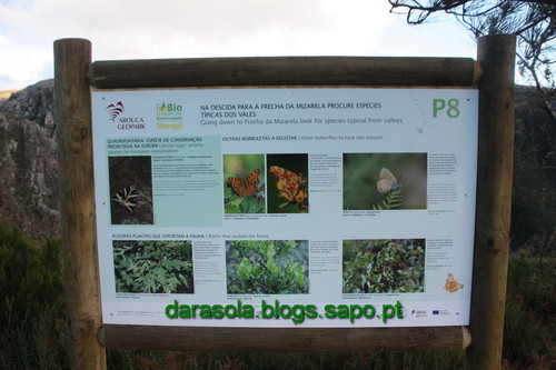 Biodiversidade_Freita_27.JPG Biodiversidade_Freita_27.JPG