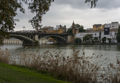 DSC02458.jpg DSC02458.jpg