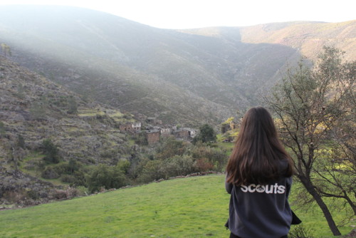 IMG_5705.JPG IMG_5705.JPG