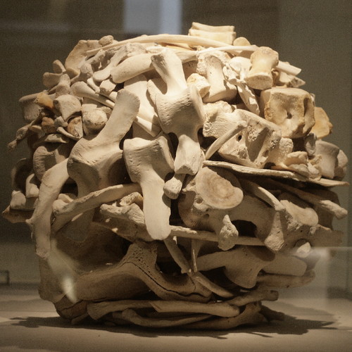 Andy_Goldsworthy.jpg