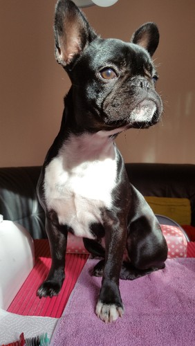 20151119_105614_002.jpg 20151119_105614_002.jpg