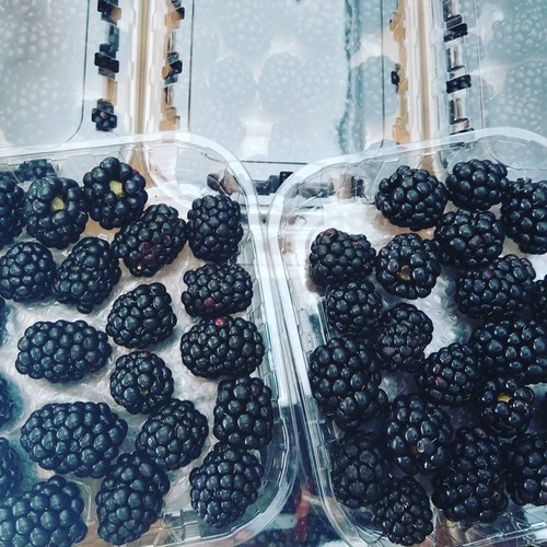 13872697_736439376495826_141336187371140502_n.jpg 13872697_736439376495826_141336187371140502_n.jpg