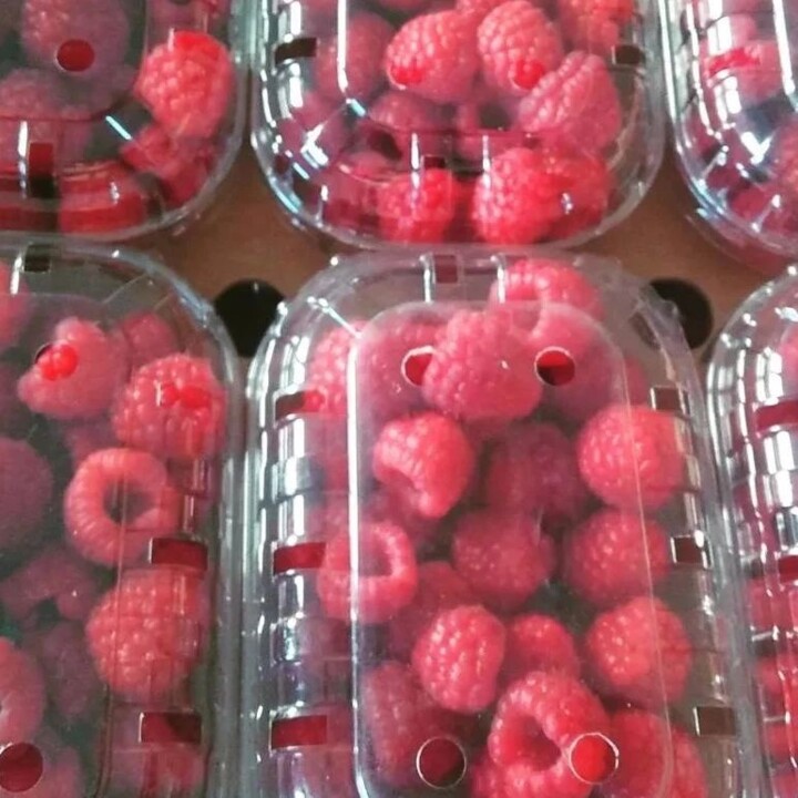 285000500_2325351760937905_5485084853752396942_n.j