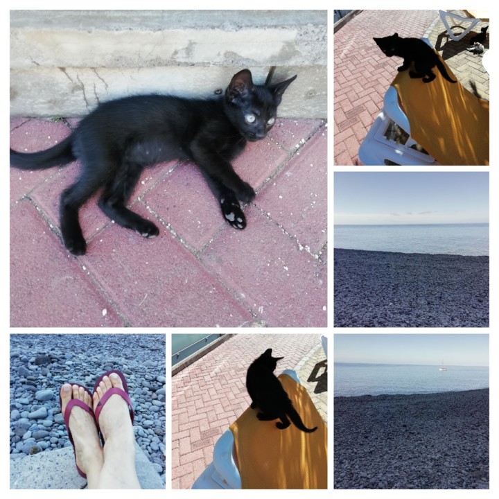 IMG_20210607_094332-COLLAGE (1).jpg