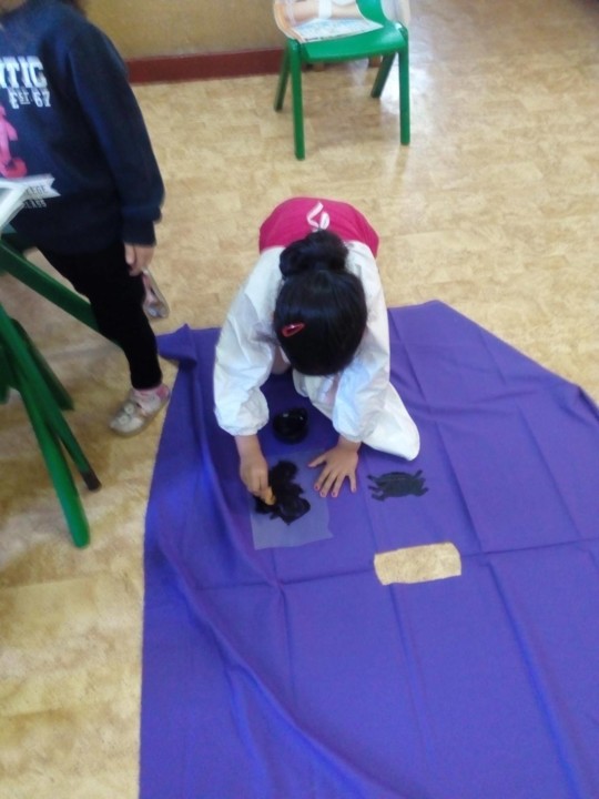 122167758_631672367713563_4795005886712156799_n.jp