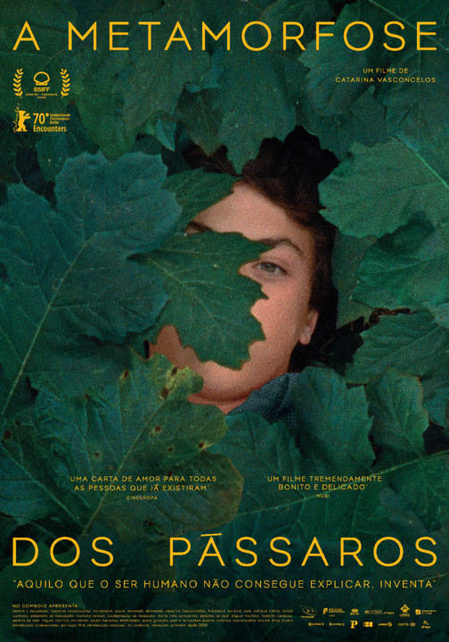 metamorfose pássaros.jpeg