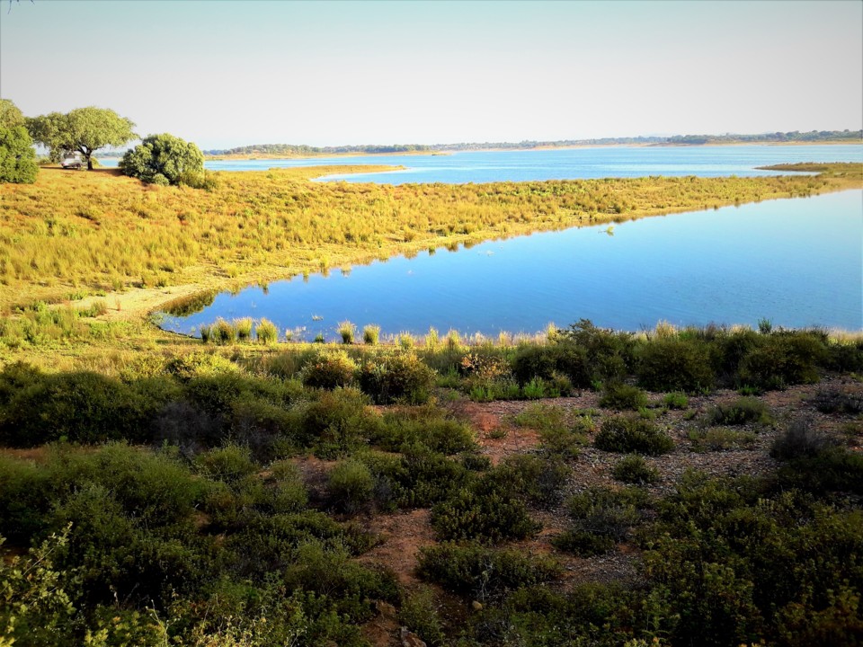 BARRAGEM_ODIVELAS_0.jpg