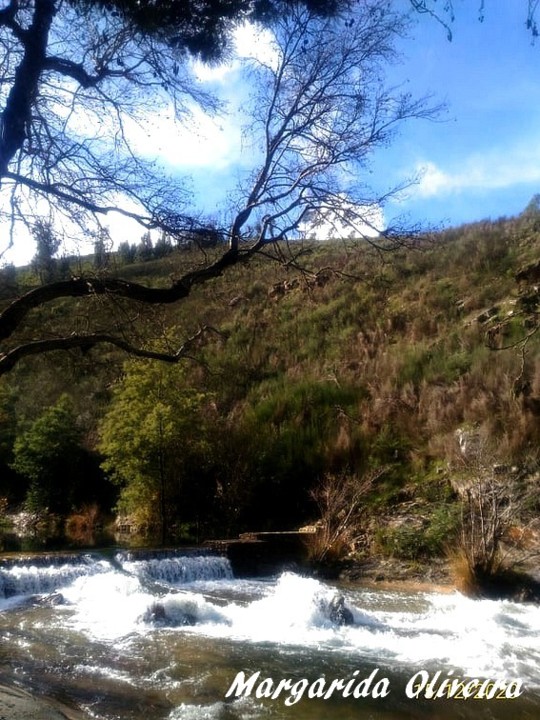 131416886_3628458670567081_3675262253052221551_n.j