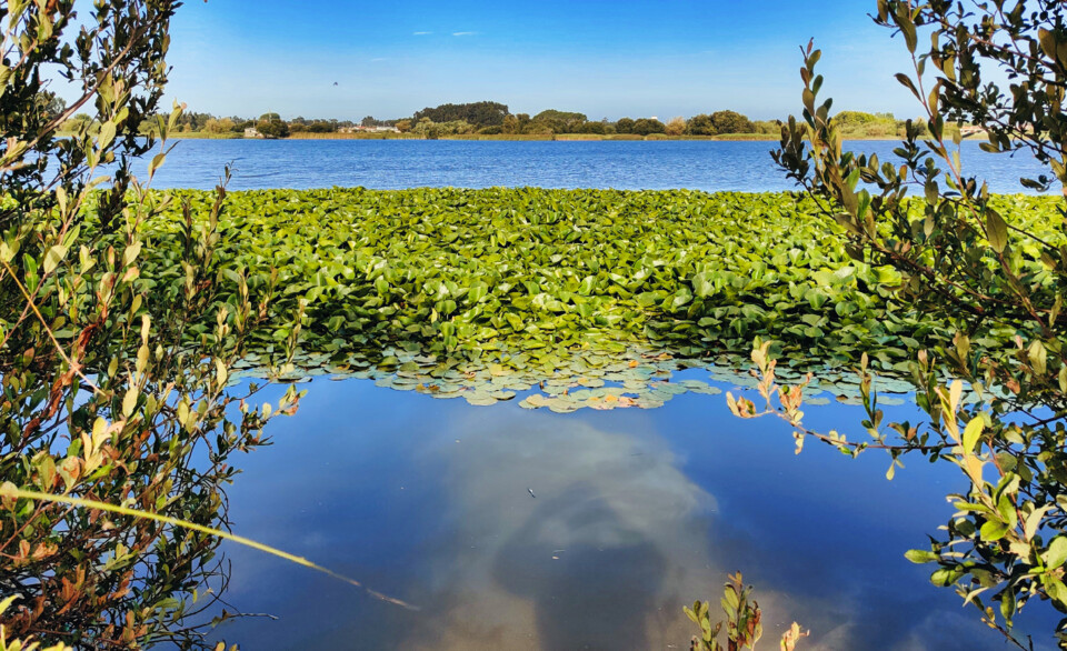 Lagoa Bertiandos.jpg