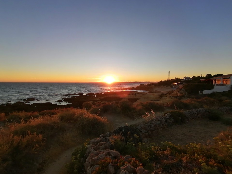 IMG_20200819_201311.jpg IMG_20200819_201311.jpg