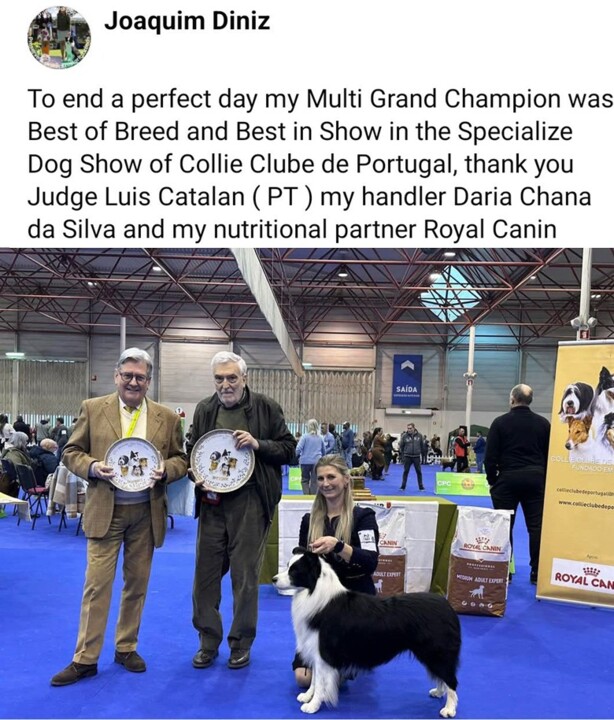 593592723_10231519367715194_8306172489762778718_n.