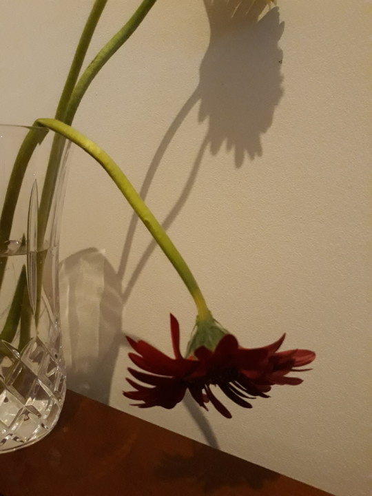 20201014_182103.jpg 20201014_182103.jpg