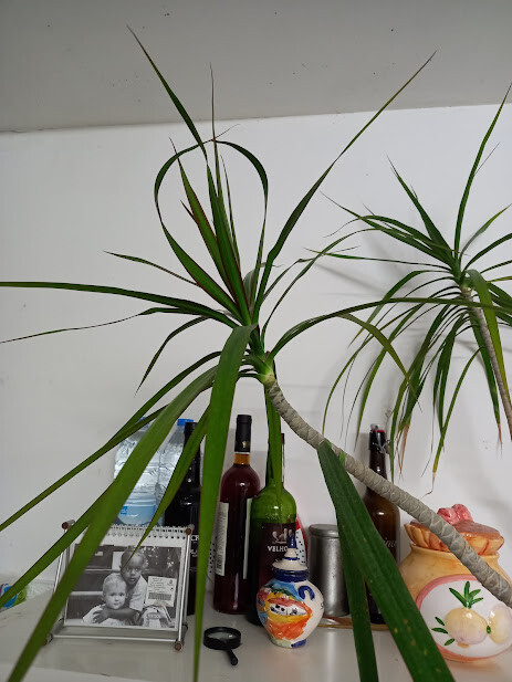 20230420_214221 agradecimento.jpg