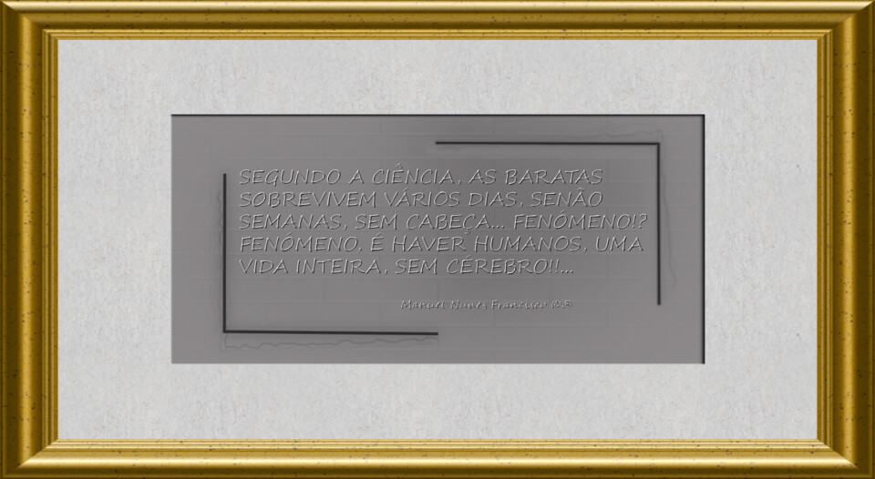 Fenómeno da barata....jpg