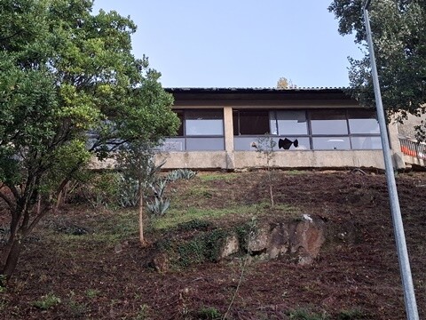 08a_Caminhada_Matinal (34).jpg