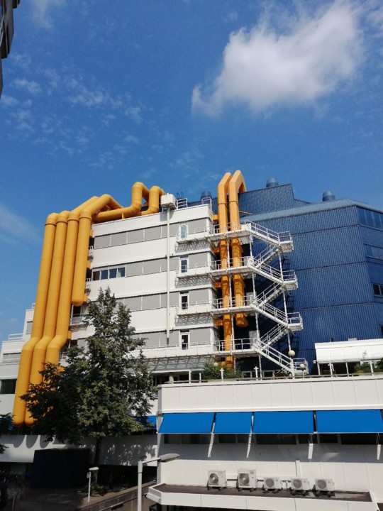 IMG_20200718_114023.jpg IMG_20200718_114023.jpg