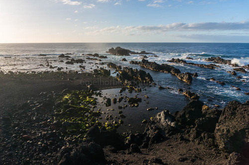 DSC09361.jpg DSC09361.jpg