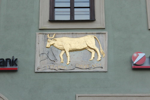 IMG_2790 Znojmo