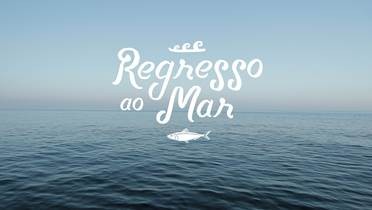 regresso ao mar