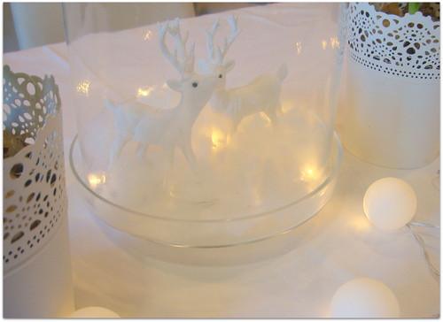 DSC07430.JPG DSC07430.JPG