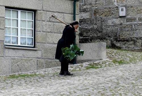 125 -Castro, Portelinha.JPG