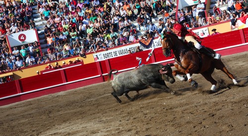 Primeira lide de Vitor Ribeiro...