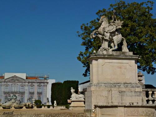 P1360637 cópia assin.jpg