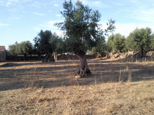 Foto1383.jpg Foto1383.jpg