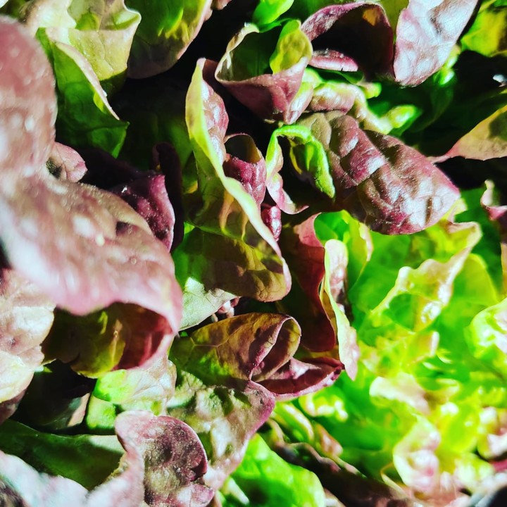 132547743_1906733389466413_7850154515660326990_o.j