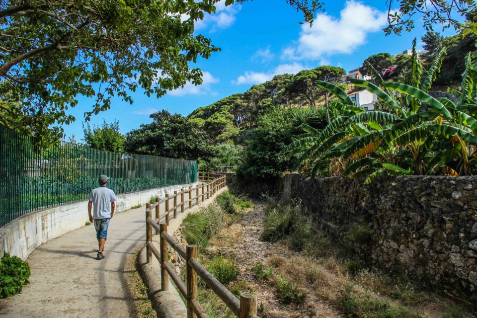 trilho das vinhas-52.jpg