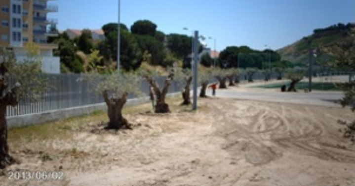 15157446_ZJh9e.jpg 15157446_ZJh9e.jpg