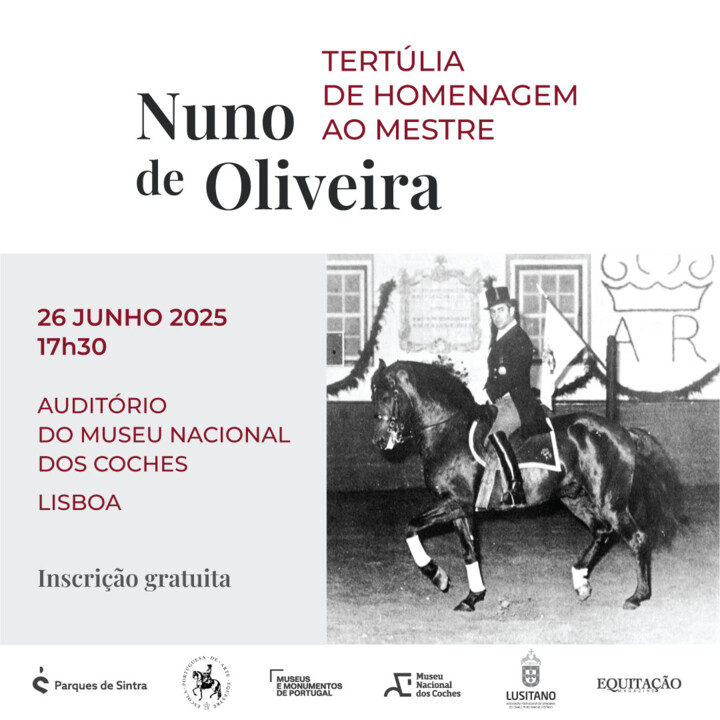 descarregar (29).jpg