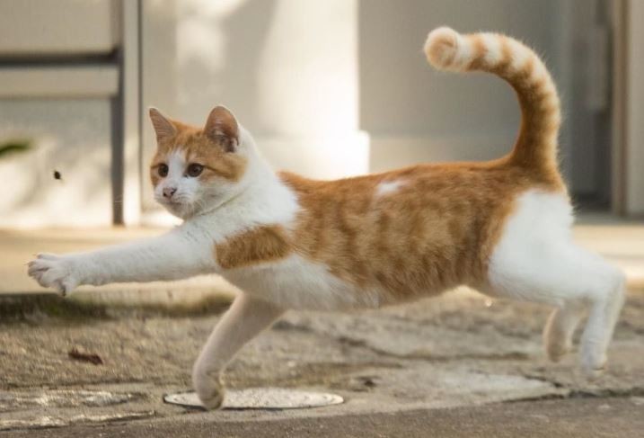 Capture.JPG Capture.JPG