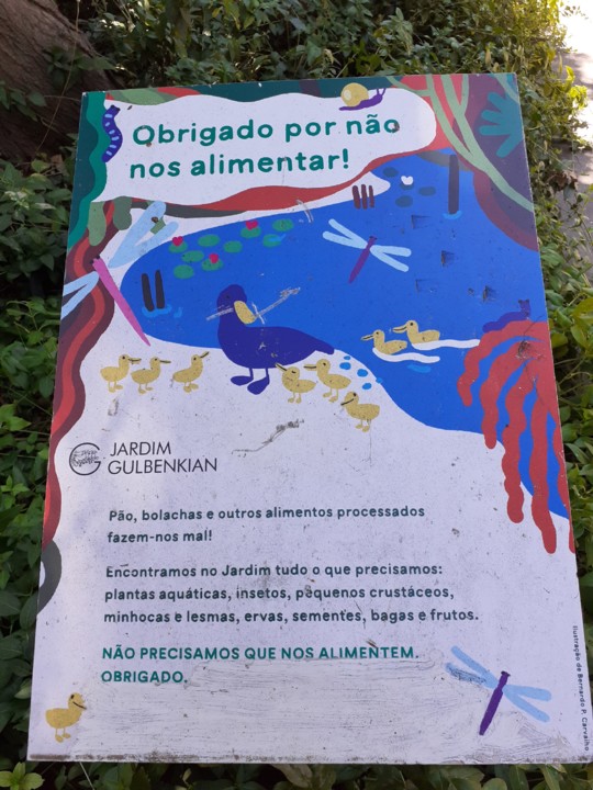 Instruções Parque. Foto original. 2021.08.01.jpg