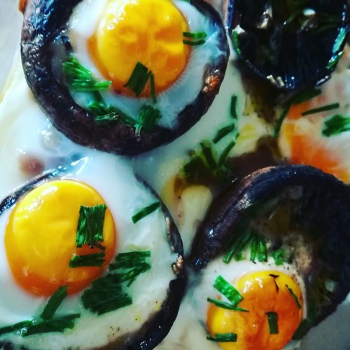 43717960_1223150434491382_2288368745791356928_n.jp 43717960_1223150434491382_2288368745791356928_n.jp