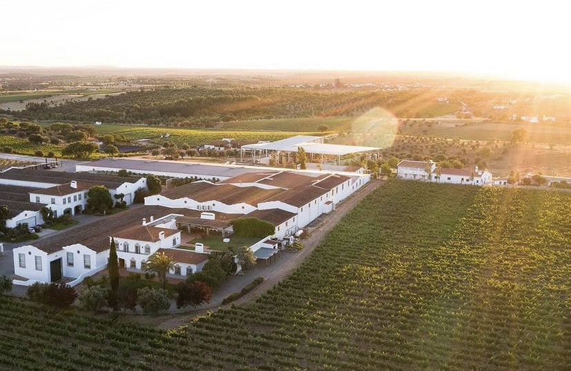 61C6C9BB-B756-485E-88BA-C57489EB6DFE.jpeg 61C6C9BB-B756-485E-88BA-C57489EB6DFE.jpeg