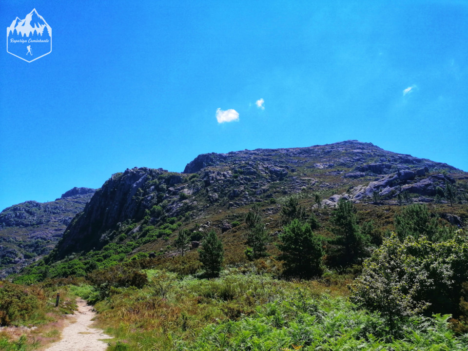 Photo_1598340923520.jpg Photo_1598340923520.jpg